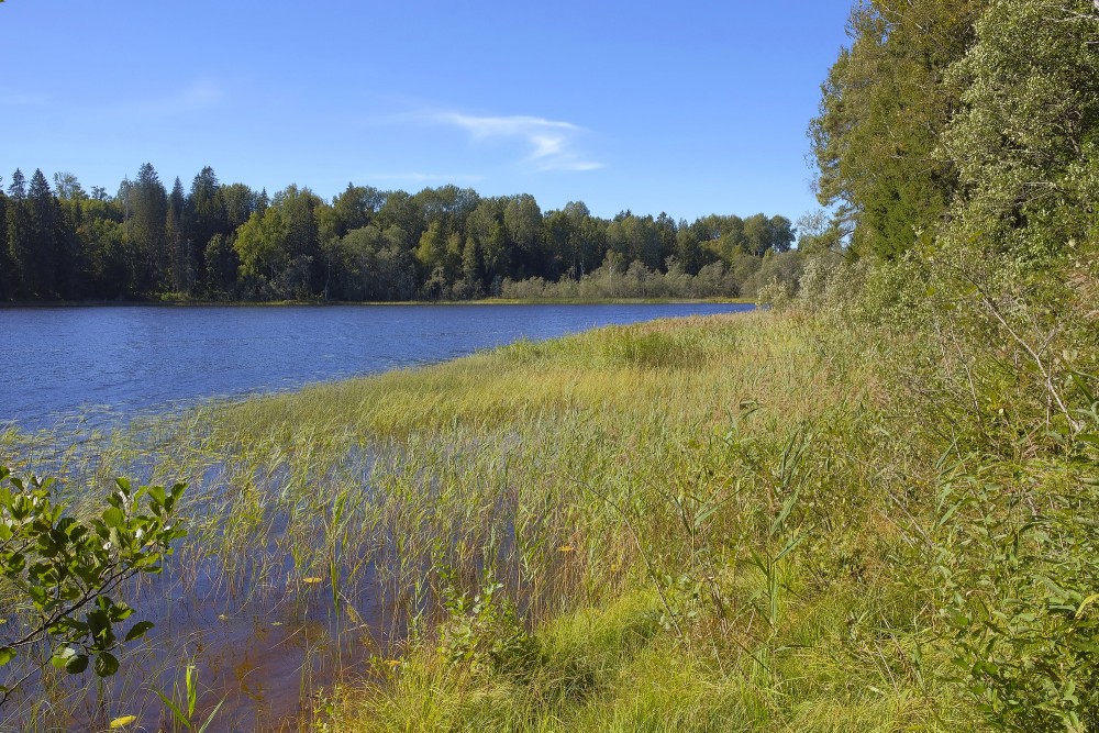 Bānūžu ezers Bānūžu ezers