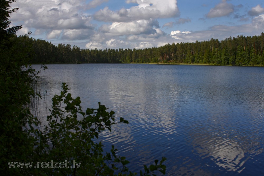 Lake Zilonis Landscape