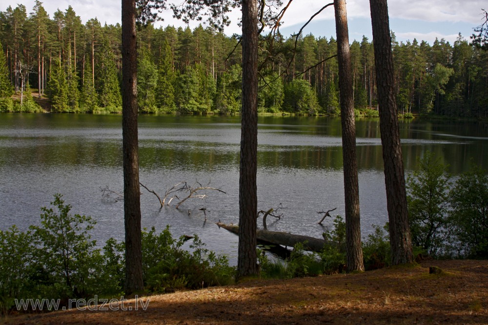 Lake Zilonis Landscape