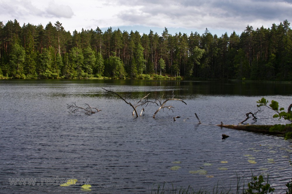Lake Zilonis Landscape