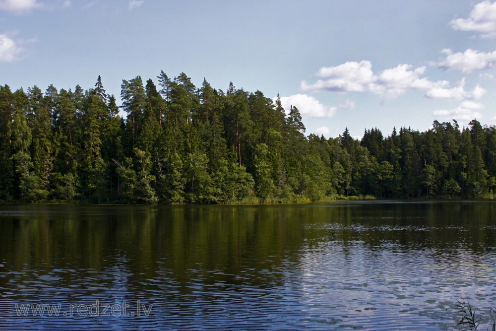 Mežmuiža Lake Landscape