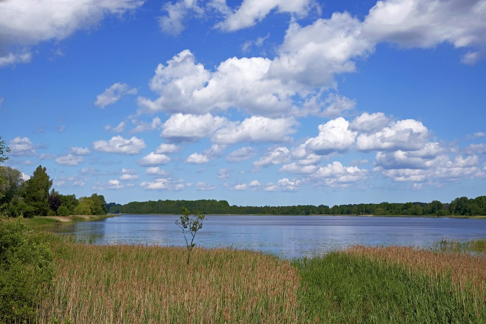 Lake Sasmaka Landscape