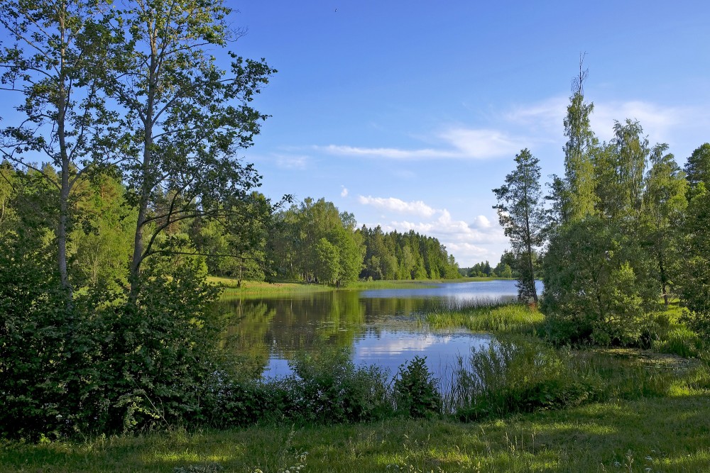 Pāces dīķis vai Baložezers