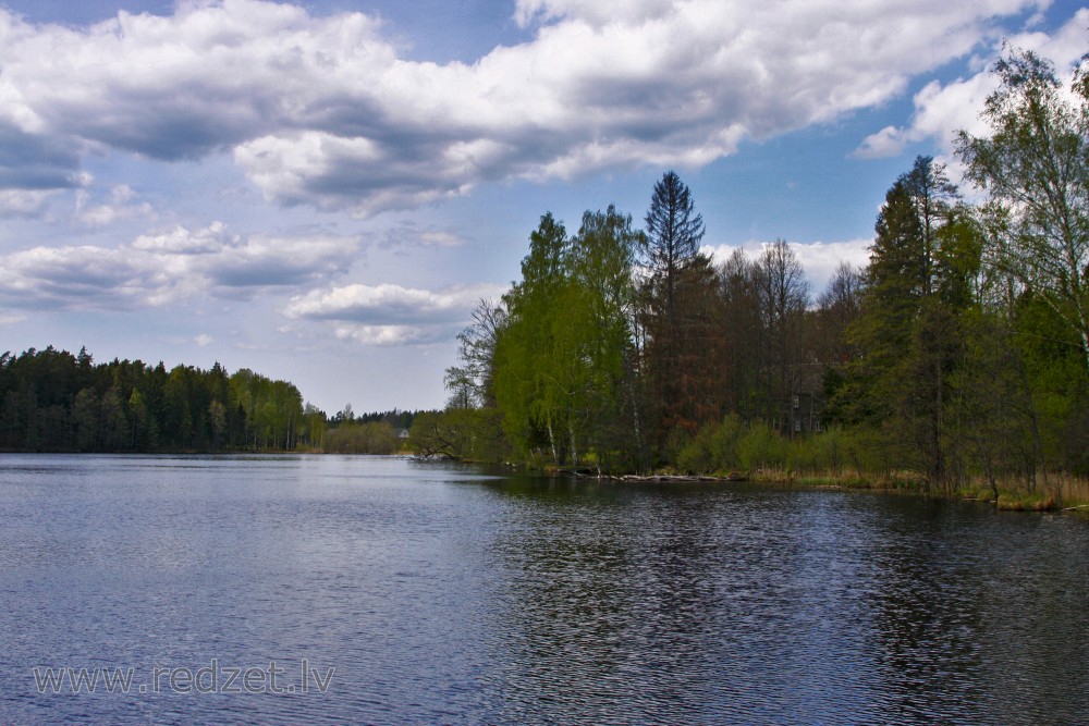 Landscape of Lake Dižiere