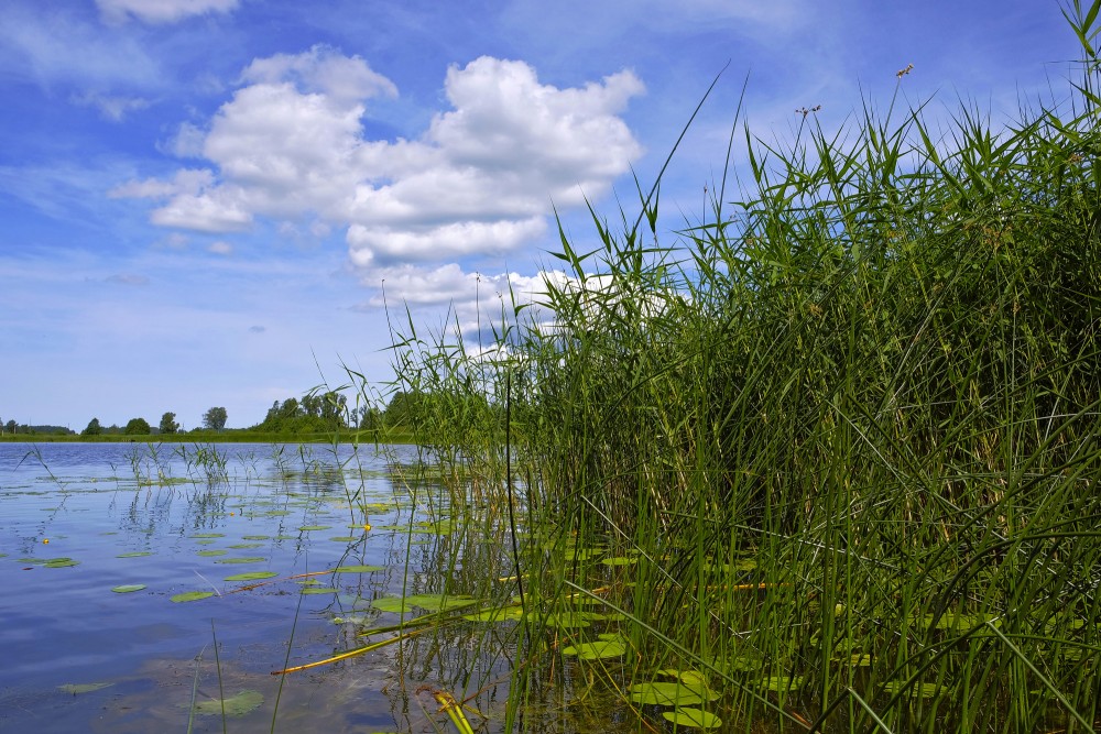 Ķikuru ezera ainava