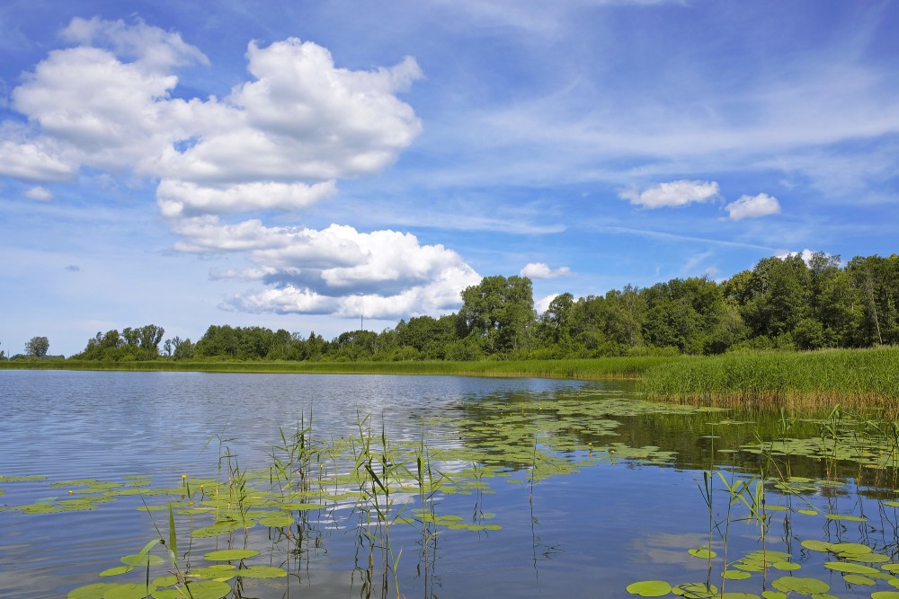 Ķikuru ezera ainava Ķikuru ezera ainava