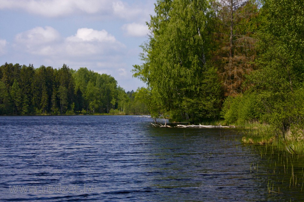Landscape of Lake Dižiere