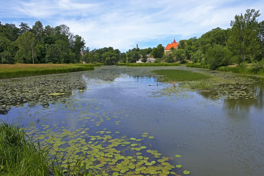 Aizputes dzirnavdīķa ainava