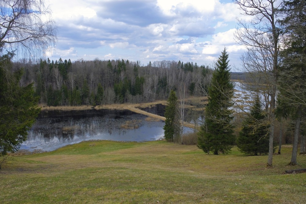 View of Alley Pond from Volzbahs Hill