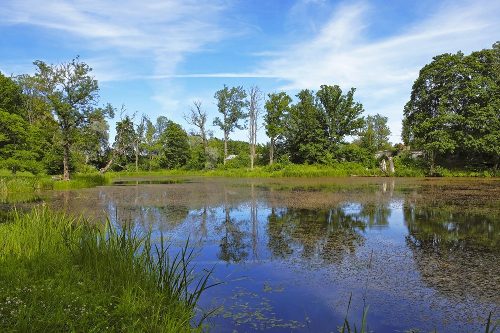 Kazdanga Manor Park Pond
