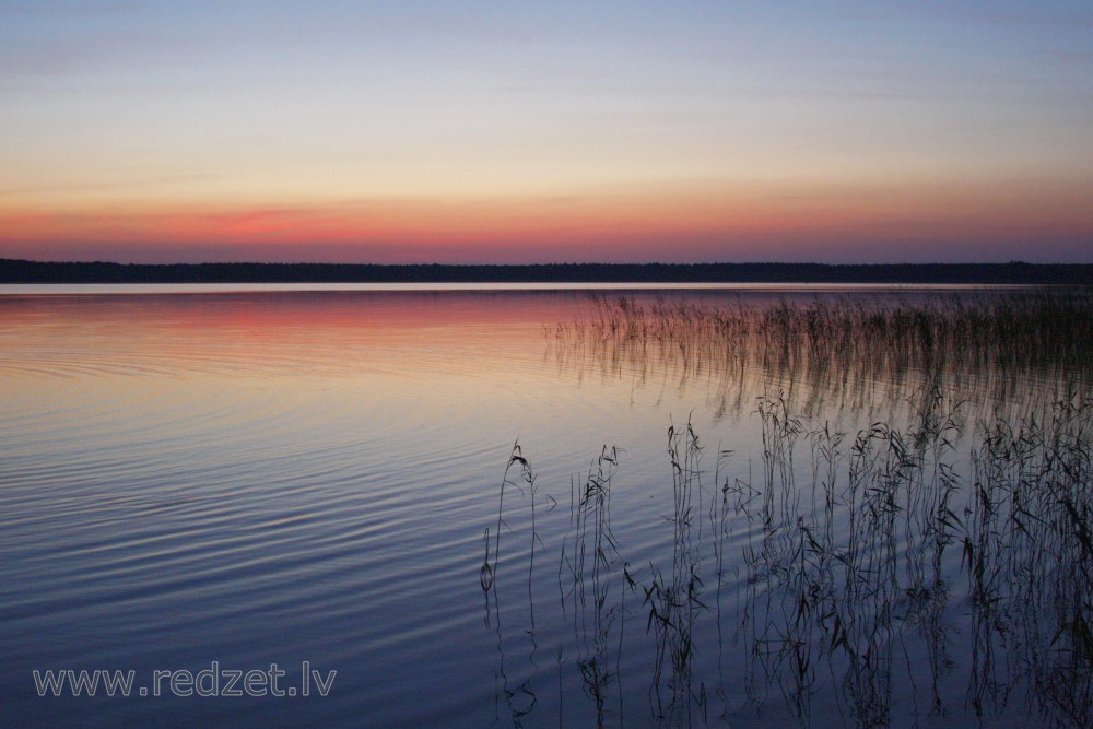 Saulriets Būšnieku ezerā