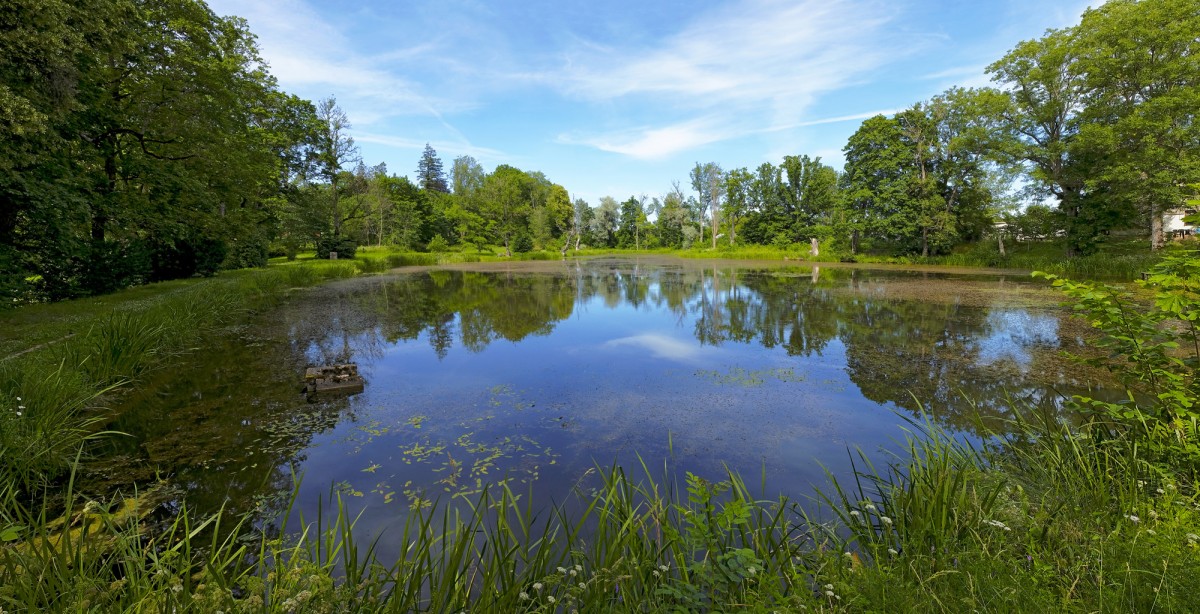Kazdanga Manor Park Pond Panorama
