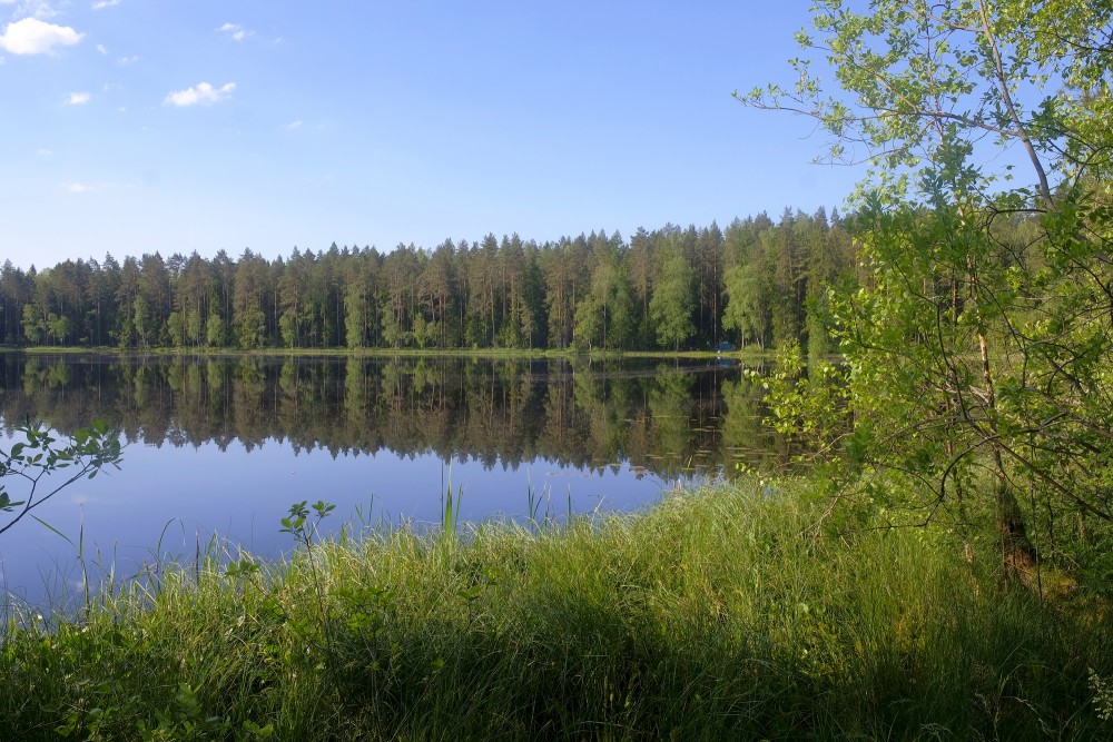 Reflection of trees in the Lejas Lake