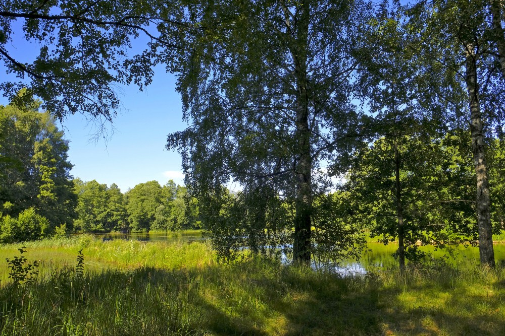 Vendzavu dzirnavu dīķis