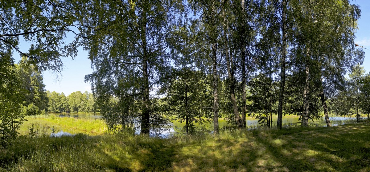 Vendzavas dzirnavezera krasta panorāma