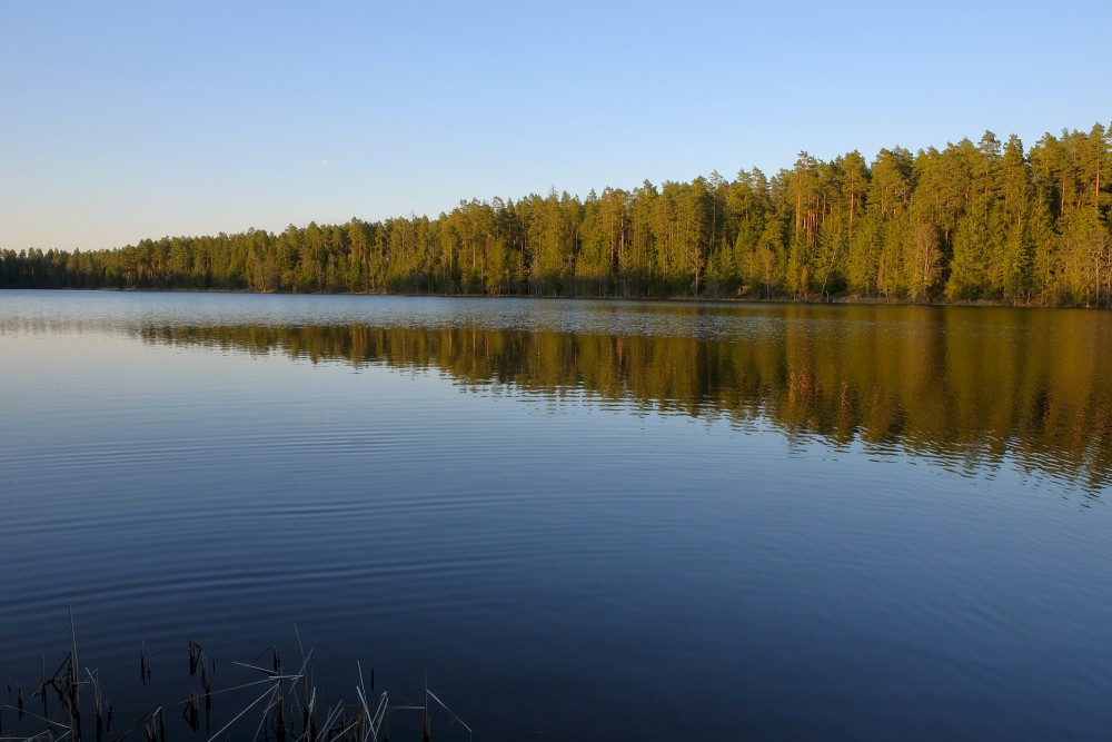 Lake Zilonis (Dzilonis)
