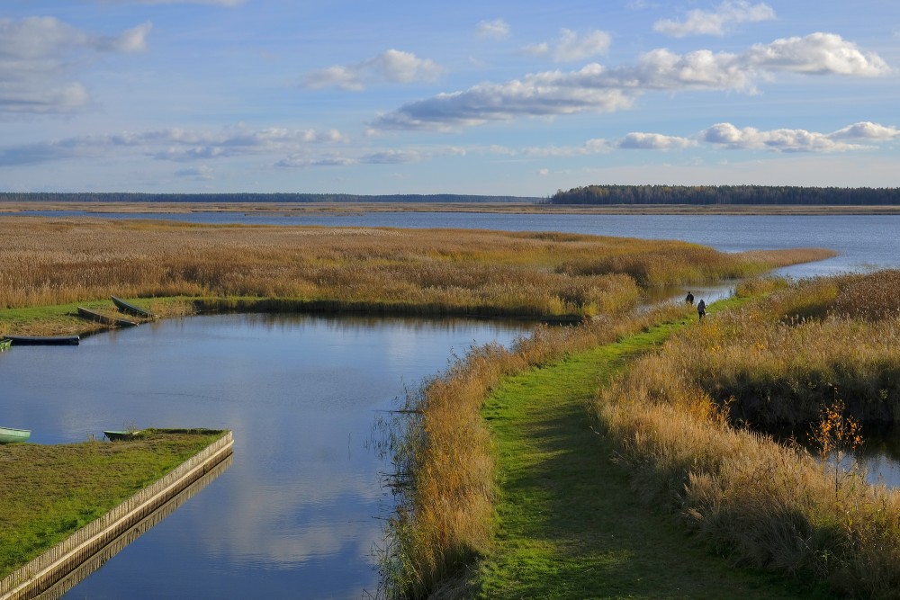 Lake Engure in Autumn