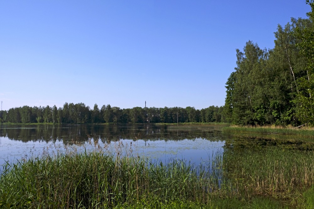 Jaunais Lake, Vecumnieki Village