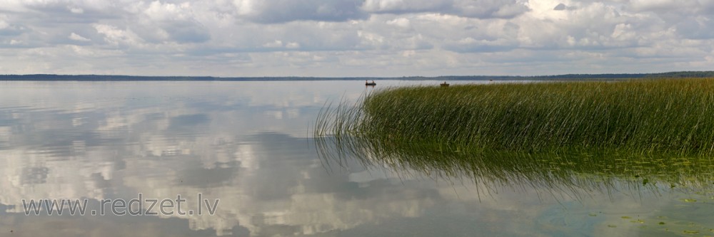 Lake Burtnieks Panorama