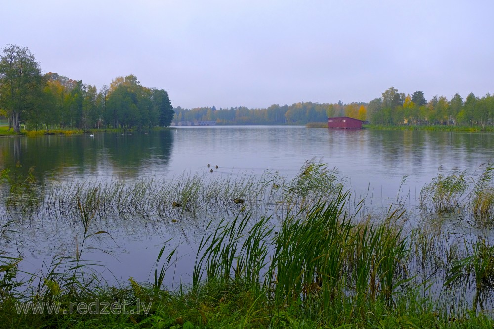 Landscape of Lake Aluksne