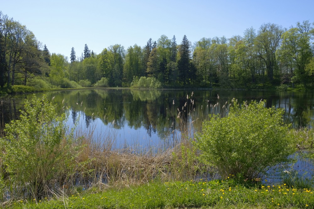 Vidriži Pond