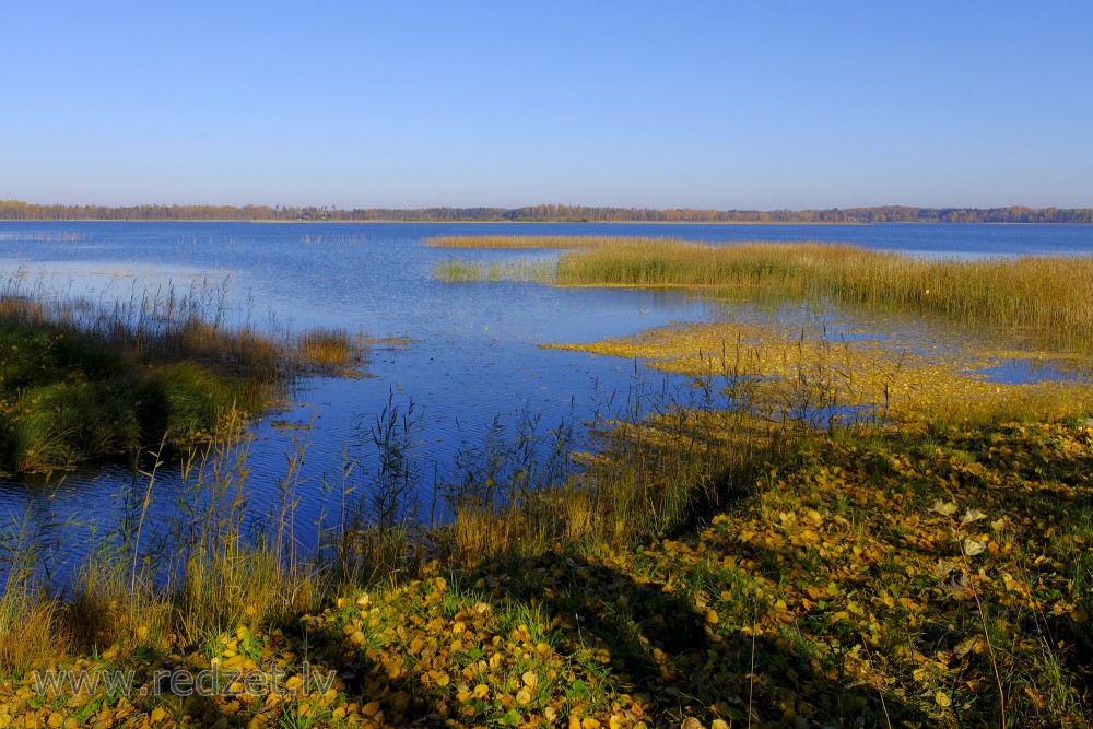 Alauksta ezers rudens nokrāsās