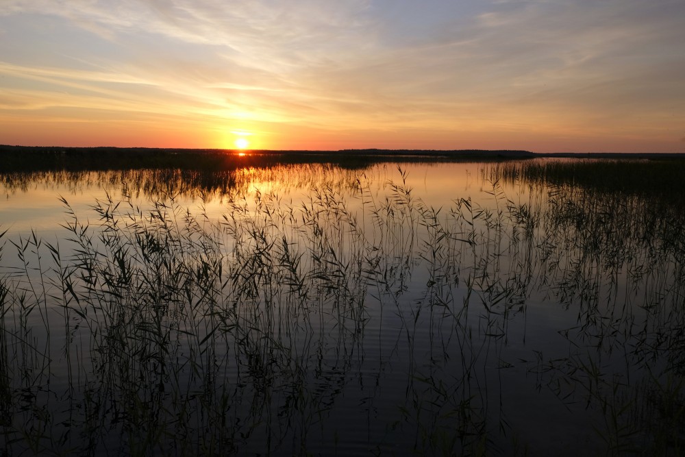 Sunset on Lake Engure