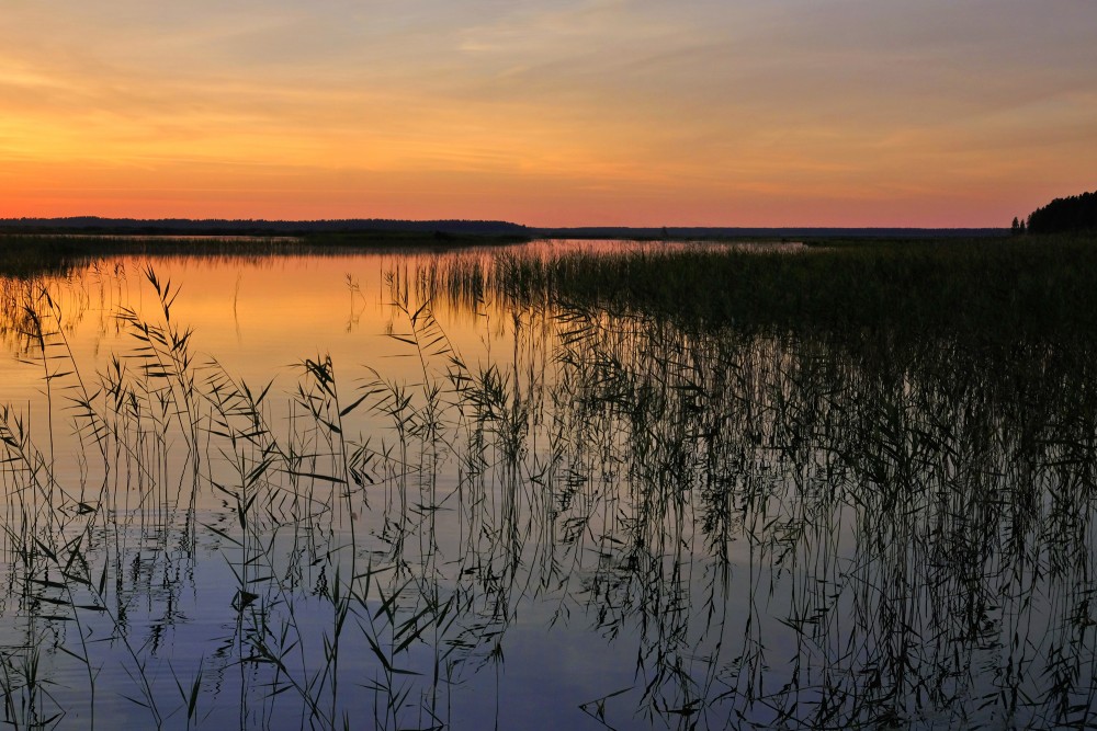 Sunset on Lake Engure