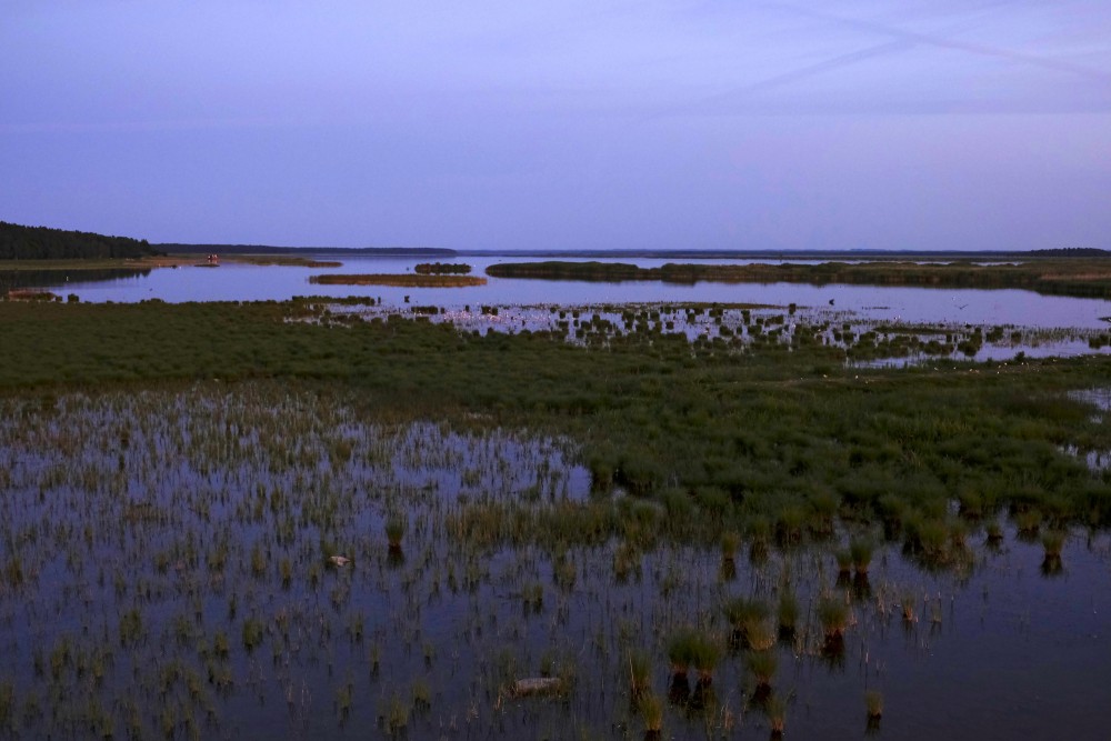 Lake Engure After Sunset
