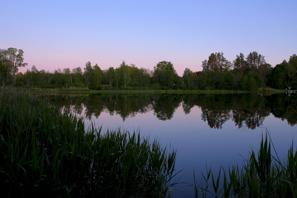 Pļavas Mill-lake