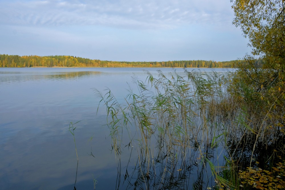 Katvari Lake Landscape