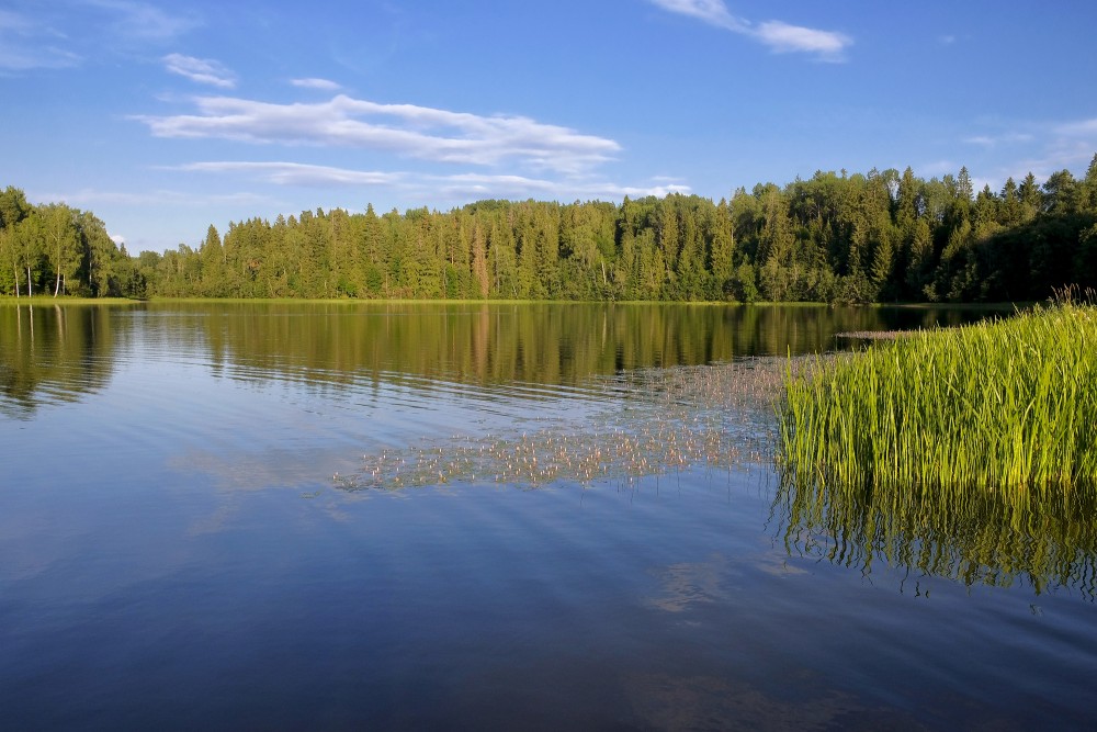Lake Ieva