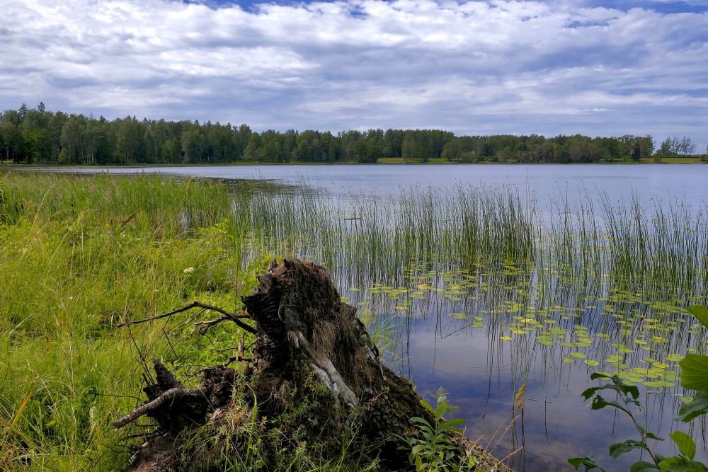 Stāmerienas ezers Stāmerienas ezers