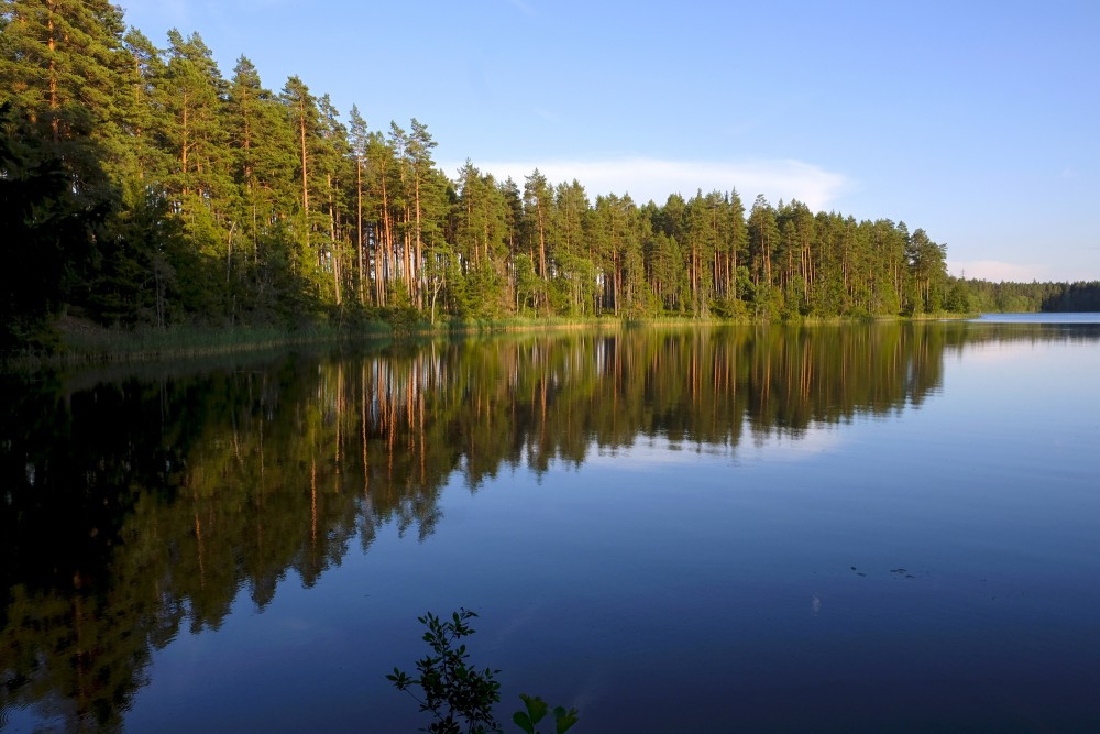 Lake Dzilonis