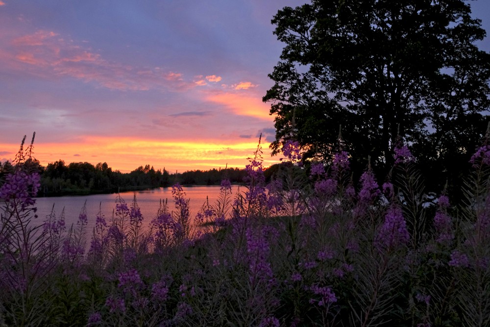 Sunset at Lake Lazdona