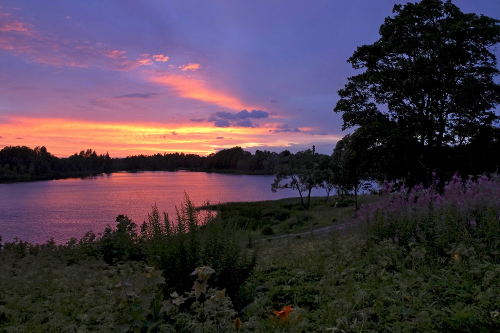 Saulriets Lazdonas ezerā