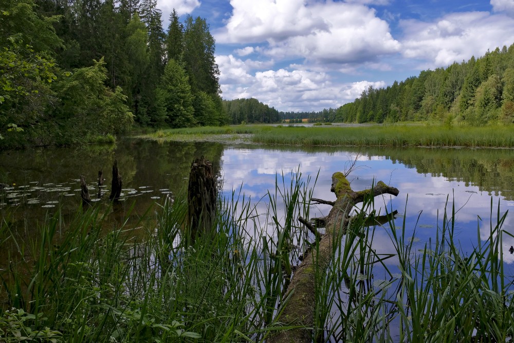Šķēde Water Mill Lake