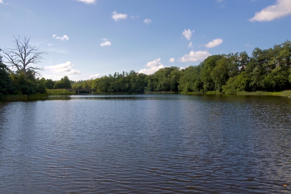 Zlēkas Mill Lake