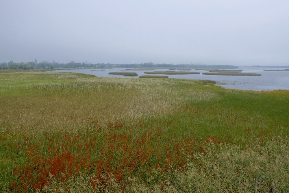 Liepāja Lake on a Foggy Day