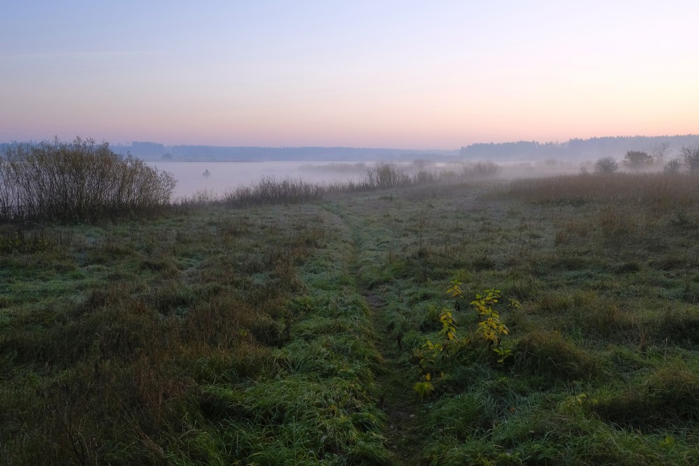 A Foggy Autumn Morning in Lake Nabas