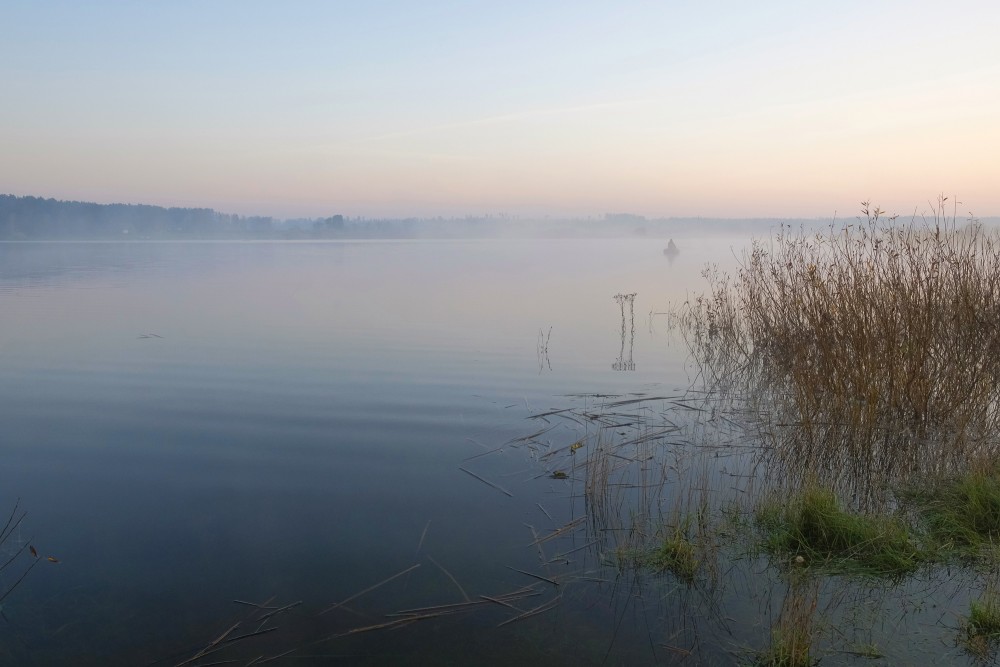 A Foggy Autumn Morning in Lake Nabas