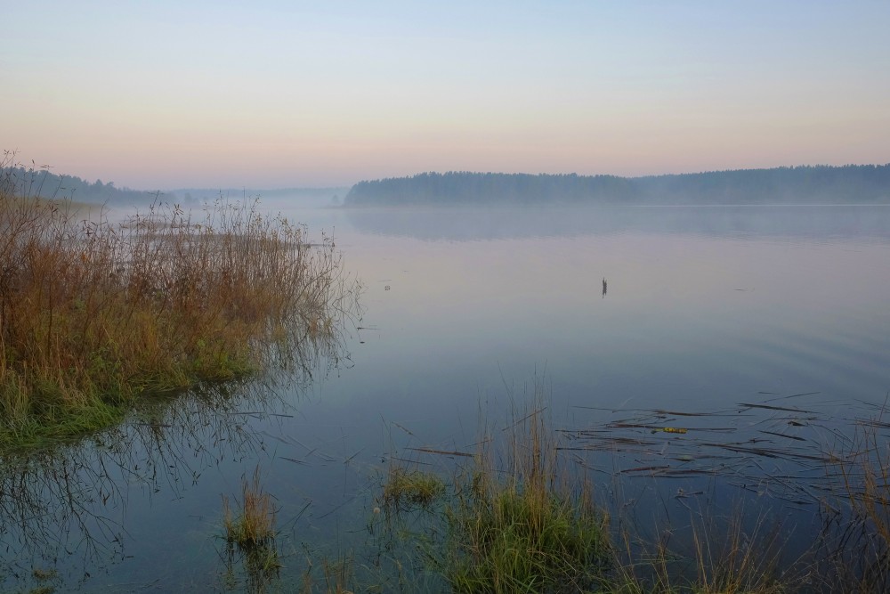 A Foggy Autumn Morning in Lake Nabas