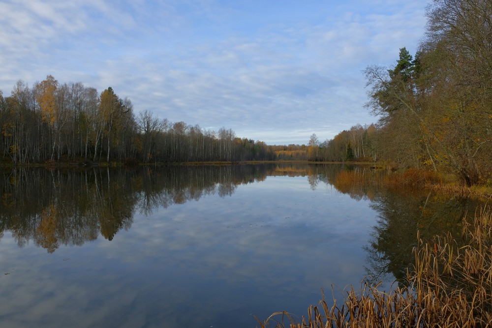 Rudbārži Mill-lake