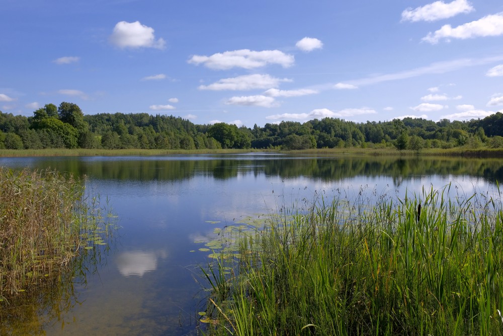 Ābelezers Lake