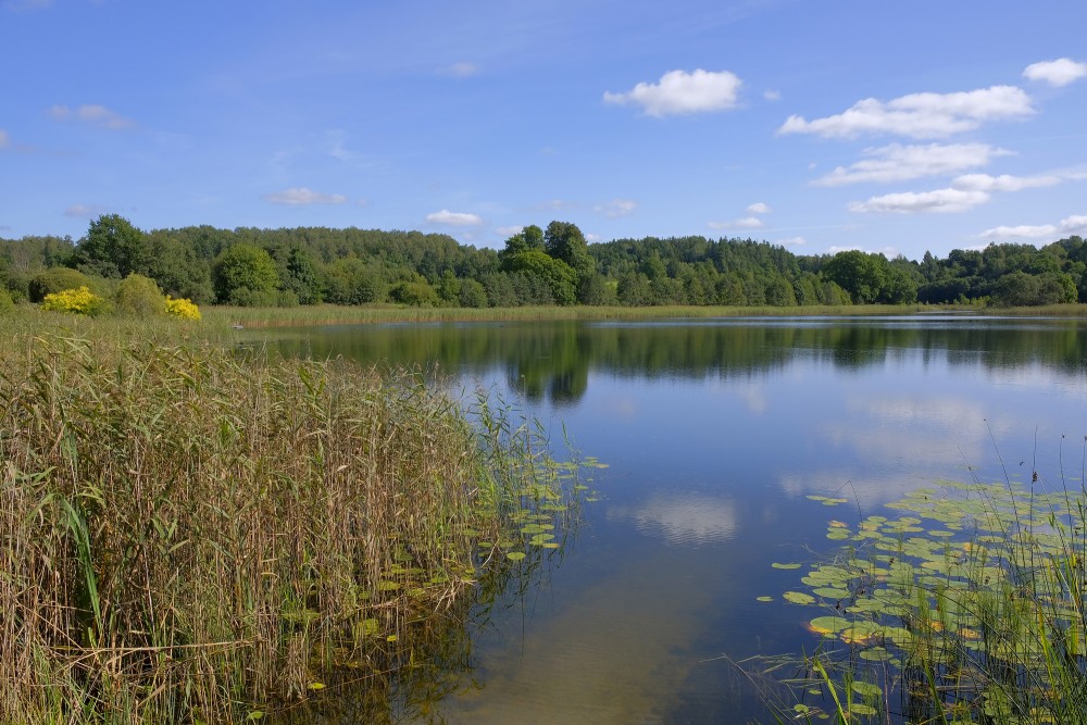Ābelezers Lake