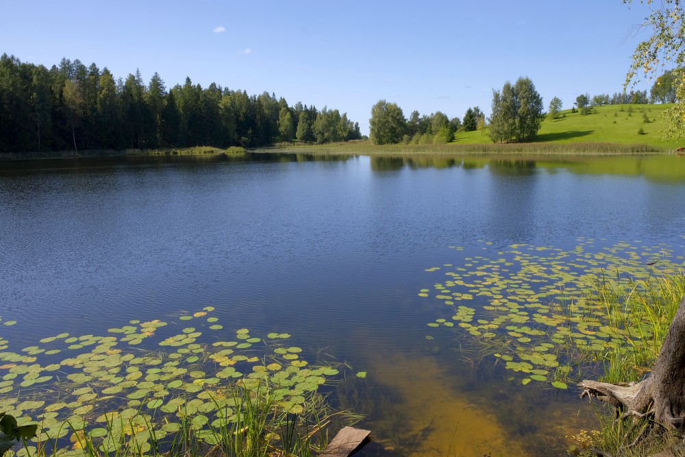 Lake Sirdsezers