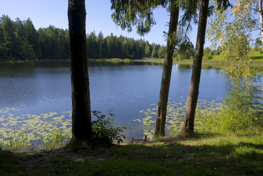 Lake Sirdsezers