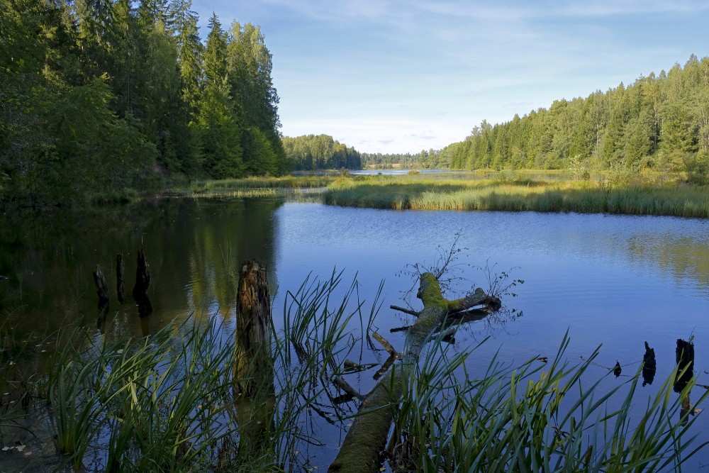 Šķēde Water Mill Lake