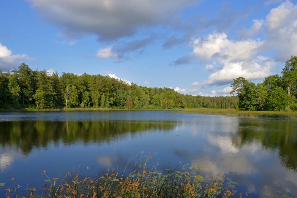 Kazdangas Dzirnezers, ainava, debesis