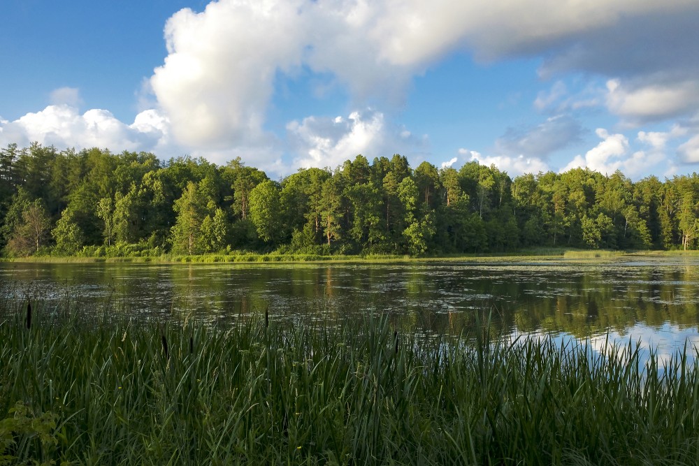 Kazdanga Dzirnezers Lake